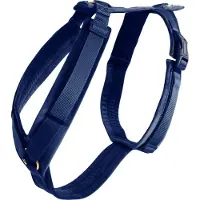 Kentucky Dog Harness Active Velvet