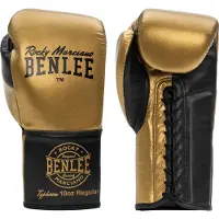 Benlee Typhoon Leather Boxing Gloves Goud 10 oz R
