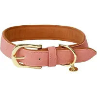 Kentucky - Hondenhalsband - Vegan Leer Hondenriem - Peach/Bruin - Maat XXS (28cm)