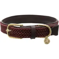 Kentucky Dogwear - Hondenhalsband - Gevlochten Nylon - Bordeaux - Maat S - Nekomtrek: 36 - 42 cm