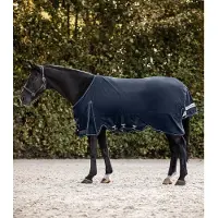 Waldhausen OUTDOORDEKEN SCANDIC 300GR Donkerblauw