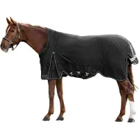 Waldhausen OUTDOORDEKEN SCANDIC HIGHNECK 200GR Zwart