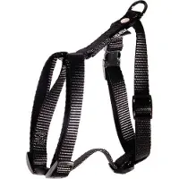 Martin sellier Tuig voor hond nylon uni zwart 16 mmx35-50 cm