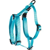 Arka Tuig voor hond nylon uni turquoise 20 mmx50-70 cm