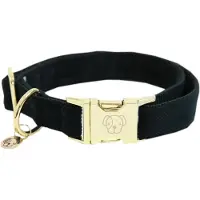 Kentucky Dogwear Corduroy Hondenhalsband