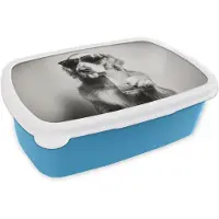 MuchoWow Broodtrommel Blauw - Lunchbox Golden retriever - Hond - Zonnebril - Gkas - Brooddoos 18x12x6 cm - Brood lunch box - Broodtrommels voor kinderen en volwassenen