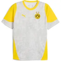 Puma Borussia Dortmund trainingsshirt voor Heren, Geel/Zilver, Maat 3XL