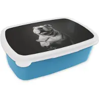 MuchoWow Broodtrommel Blauw - Lunchbox Buldog - Hond - Glas - Brooddoos 18x12x6 cm - Brood lunch box - Broodtrommels voor kinderen en volwassenen
