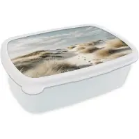 MuchoWow Broodtrommel Wit - Lunchbox Duinen - Gras - Sporen - Wolken - Brooddoos 18x12x6 cm - Brood lunch box - Broodtrommels voor kinderen en volwassenen