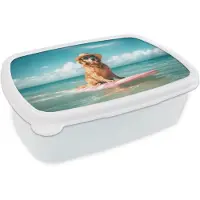 MuchoWow Broodtrommel Wit - Lunchbox Zeewater - Hond - Golden retriever - Zonnebril - Brooddoos 18x12x6 cm - Brood lunch box - Broodtrommels voor kinderen en volwassenen