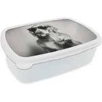 MuchoWow Broodtrommel Wit - Lunchbox Golden retriever - Hond - Zonnebril - Gkas - Brooddoos 18x12x6 cm - Brood lunch box - Broodtrommels voor kinderen en volwassenen