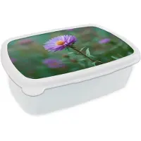 MuchoWow Broodtrommel Wit - Lunchbox Aster - Paars - Bloem - Blaadjes - Brooddoos 18x12x6 cm - Brood lunch box - Broodtrommels voor kinderen en volwassenen