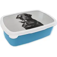 MuchoWow Broodtrommel Blauw - Lunchbox Hond - Zwart - Wijnglas - Zonnebril - Brooddoos 18x12x6 cm - Brood lunch box - Broodtrommels voor kinderen en volwassenen