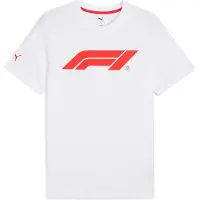 Puma Functioneel shirt 'F1 Essentials' | XL | male