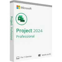 Microsoft Project Professional 2024