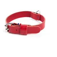 Martin sellier Dierenbenodigdheden Halsband Bords Ronds 25/50 Rood