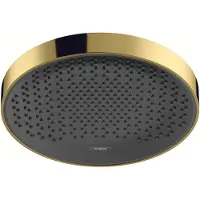 Hansgrohe rainfinity powderrain hoofddouche 250 1jet ecosmart, polished gold optic