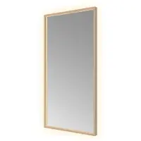 Hotbath &More SQU510 Square spiegel 50x100cm met verlichting, spiegelverwarming, kleurwissel, dimbaar en afstandsbediening geborsteld koper PVD
