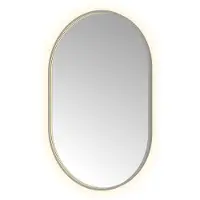 Hotbath &More OVA812 Oval spiegel 80x120cm met verlichting, spiegelverwarming, kleurwissel, dimbaar en afstandsbediening geborsteld gunmetal PVD