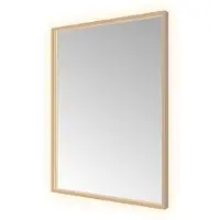 Hotbath &More SQU680 Square spiegel 60x80cm met verlichting, spiegelverwarming, kleurwissel, dimbaar en afstandsbediening geborsteld koper PVD