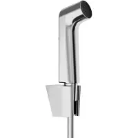 Hansgrohe bidethanddouche 1jet ecosmart met porter s douchehouder en doucheslang 125 cm, chroom