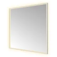 Hotbath Spiegel &MORE 80x80 cm LED-Verlichting Spiegelverwarming Vierkant RVS