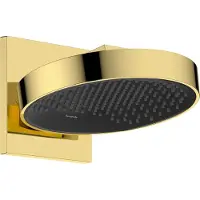 Hansgrohe rainfinity powderrain hoofddouche 250 1jet met douche-arm, polished gold-optic