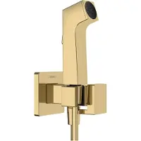 Hansgrohe bidethanddouche 1jet e ecosmart voor warm water met douchehouder en doucheslang 125 cm, polished gold-optic