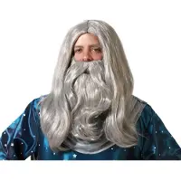 Atosa Verkleedpruik met baard - heren - grijs - Middeleeuwen/tovenaar/oude man - Carnaval - lang haar