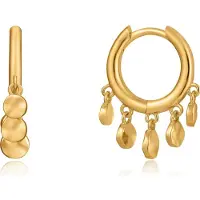 Ania Haie E023-03g Oorbellen