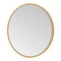 Hotbath &More ROU40 Round spiegel 40x40cm met verlichting, kleurwissel, dimbaar en afstandsbediening geborsteld koper PVD