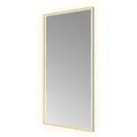 Hotbath &More SQU510 Square spiegel 50x100cm met verlichting, spiegelverwarming, kleurwissel, dimbaar en afstandsbediening RVS316