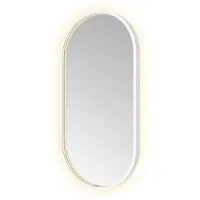 Hotbath &More Spiegel Oval 40x80cm Directe & Indirecte Verlichting - Mat Wit - Glas - Ovaal - Spiegels, Badkamerspiegels - 8721321497257