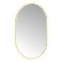 Hotbath &More Spiegel Oval 80x120cm Directe & Indirecte Verlichting - RVS 316 - Glas - Ovaal - Spiegels, Badkamerspiegels - 8721321497417