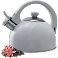 Kadax Waterketel van roestvrij staal 1 7 l waterketel in verschillende kleuren theeketel voor alle warmtebronnen roestvrijstalen waterkoker retro fluitketel (grijs)