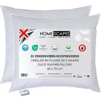 Homescapes Hoofdkussens 60x70 cm – Set van 2 – Medium Zacht – 100% Eendenveren – Anti-Allergisch – Voor Zijslaper & Nekklachten – Oeko‑Tex Gecertificeerd