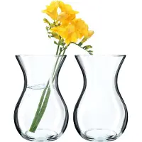 Kadax Glazen vaas, 18 cm, diameter 8 cm, transparant, decoratieve vaas voor woonkamer