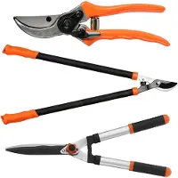 Kadax Bypassschaar, takkenschaar en heggenschaar met antislip handgrepen, snoeischaar met anti-aanbaklaag, tuingereedschap van staal (oranje, set 3)
