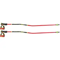 LEKI Wcr Gs Carbon 3d Stokken