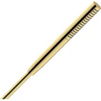 Hansgrohe pulsify s staafhanddouche 100 1jet ecosmart+, polished gold-optic