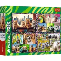 Trefl 13313, 250 stuk(s), Dieren, 7 jaar