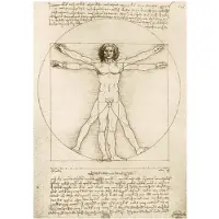 Bluebird Puzzle Leonardo Da Vinci - The Vitruvian Man, 1490 (1000) - Legpuzzel