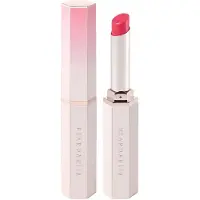 Dear Dahlia Lipgloss Glans Lipstick 2.4 g