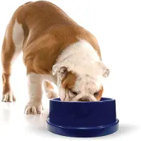 OEM Waterbak voor honden en katten, met koelfunctie, 2,7 liter