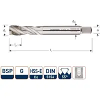 Rotec HSSE 800 M.Tap /35° BSP G 1.1/4-11 - 341.1250C