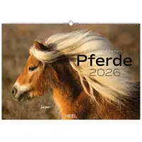 Heel Paarden Kalender 2026 Groot