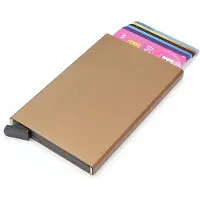 Dstrct Cardholder metallic