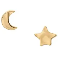 Skagen ANJA STONE Dames Oorbellen - Goudkleurig
