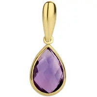 Marie-Celeste Hanger Amethyst - Goud