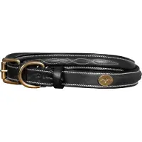Dyon Fancy Hondenhalsband
